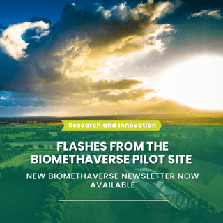 Template newsletter (19)
